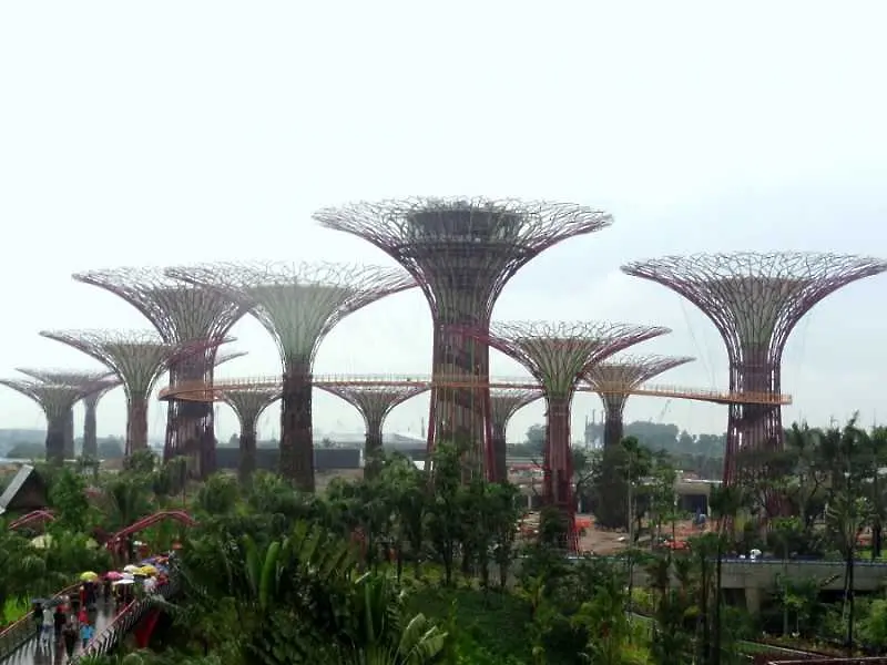 Сингапур прави гора от супердървета (фотогалерия)