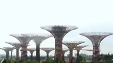 Сингапур прави гора от супердървета (фотогалерия)
