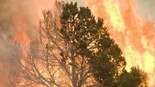 Община Средец обяви извънредно положение заради пожари
