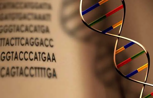 Кодираха цяла книга върху ДНК