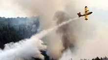 Дъжд потуши пожарите край Света Гора