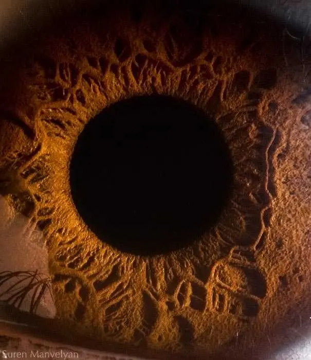 Уникални макро снимки на човешкото око