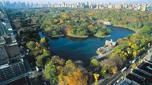 Финансист дари 100 милиона долара на нюйоркския Сентръл Парк 