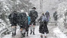 Обилен снеговалеж падна над Германия