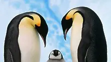 Пингвини гиганти обитавали Антарктида