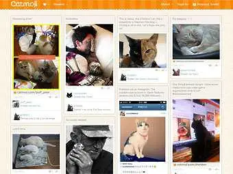 Появи се социална мрежа за котки
