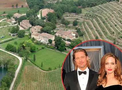 Брад Пит и Анджелина Джоли се заеха с производство на вино