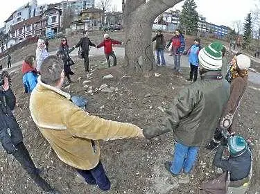 Граждани спасиха 200-годишен чинар от отсичане