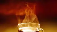 Холандия конфискува опасен български чай