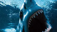 Голямата бяла акула напада
