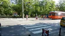 Още две светещи зебри в София 