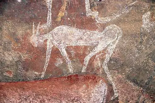 Откриха над 4900 пещерни рисунки в Мексико