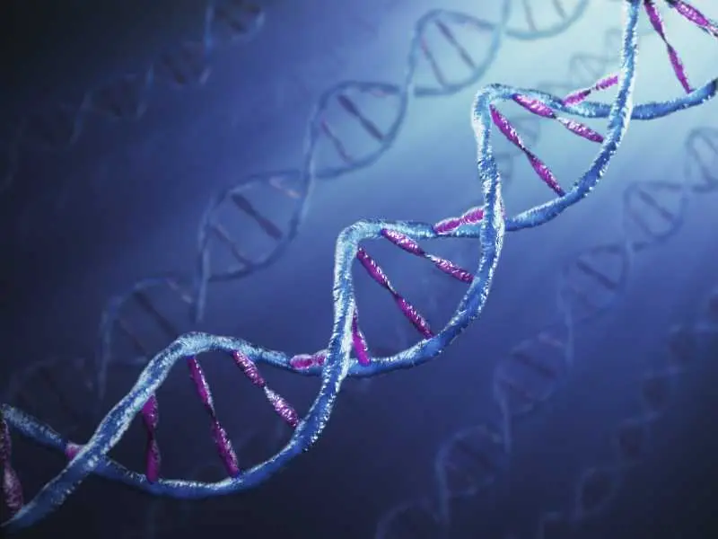 САЩ забраниха патентоването на ДНК