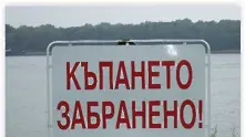 Дунав отровен, забраниха къпането във Видинско през лятото