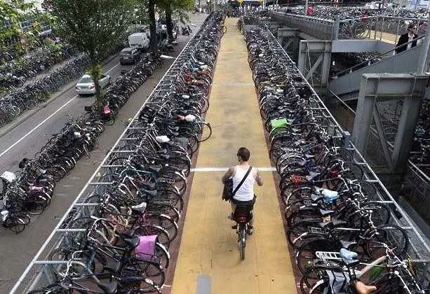 Защо толкова много холандци карат колело?