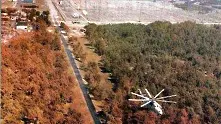 Наследството на Чернобил открито в дървета
