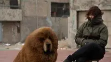 Китайски зоопарк представи куче за лъв