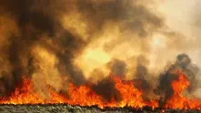 Пожарите край Ивайловград и Елхово са потушени