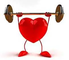 5 правила за здраво сърце