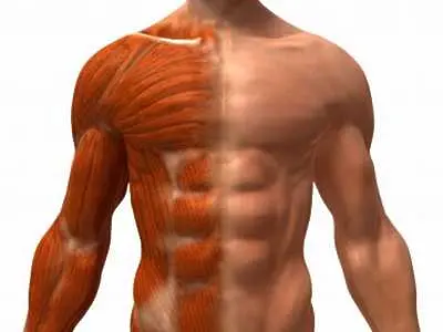 Ужасяващо заболяване превръща мускулите в кости