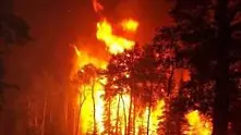Пожарът край Локорско обхванал стотици декари гора