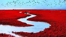 Впечатляващи пейзажи от Червения плаж в Панджин