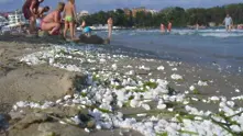 Странно вещество замърсява Южното Черноморие