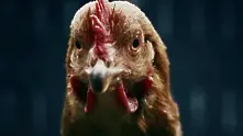 Фънки кокошките на Mercedes – нов хит в рекламата