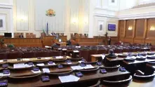 Борисов: Станишев и фикусчето да идват на работа!