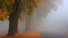 Мъгла обхвана страната