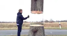 Илюзията с реещото се във въздуха дърво