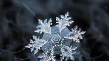 Прекрасни макроснимки на снежинки