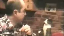  Коте използва езика на глухонемите, за да си поиска храна