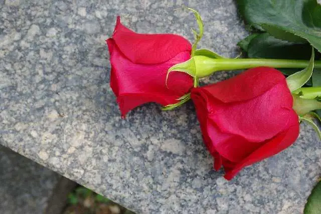 Погребаха загиналия в Лясковец спецполицай с военни почести