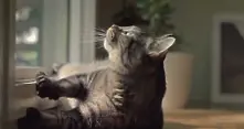Котката Норман е на път да спаси планетата в тази гениална реклама