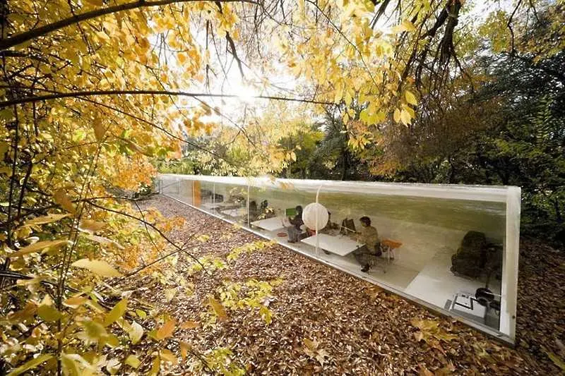 1. Мадридската архитектурна фирма Selgas Cano

Представете си, че работите в мадридската архитектурна фирма Selgas Cano. Знаете ли, какво означава това? Че подготвяте проекти и документи под сянката на дървета, в обкръжение на безметежна природна атмосф