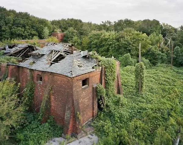 Фотогалерия: Забравеният свят на остров Норт Брадър