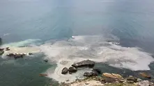 Обезвредиха опасна морска мина край „Яйлата”