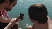 Подводно селфи в езерото на Цюрих (видео)