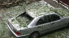 Силна буря уби човек и нарани хора в София (обзор)
