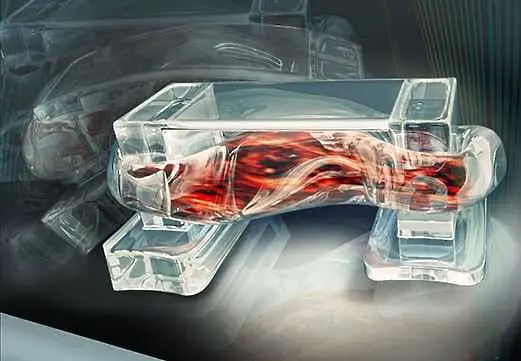 Учени създадоха ходещи машини, комбиниращи синтетични материали с мускулна тъкан