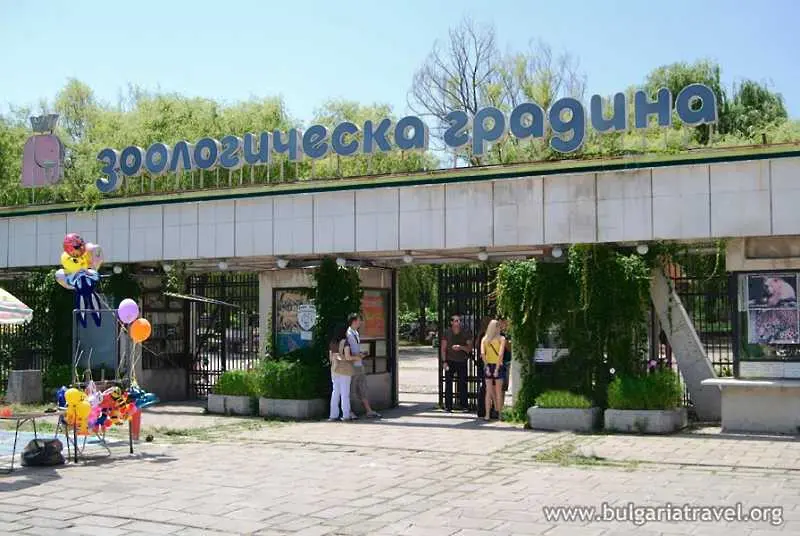 Затвориха зоологическата градина в София заради смъртта на няколко животни