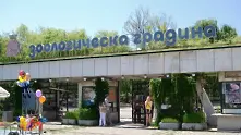 Затвориха зоологическата градина в София заради смъртта на няколко животни