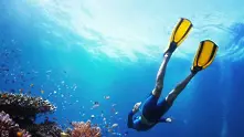 7 клипа, които показват величествената и мистериозна подводна красота