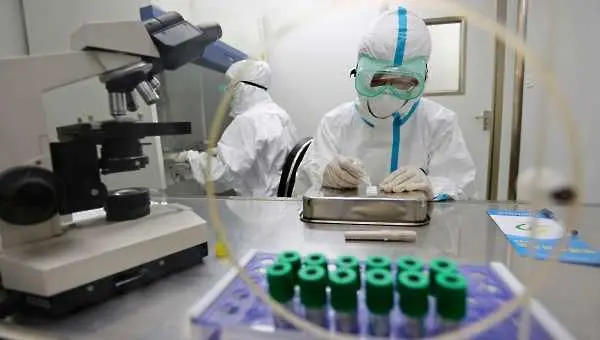 Експериментално лекарство срещу ебола излекува маймуни