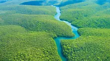 Издигат кула за изследване на климата в Амазонка