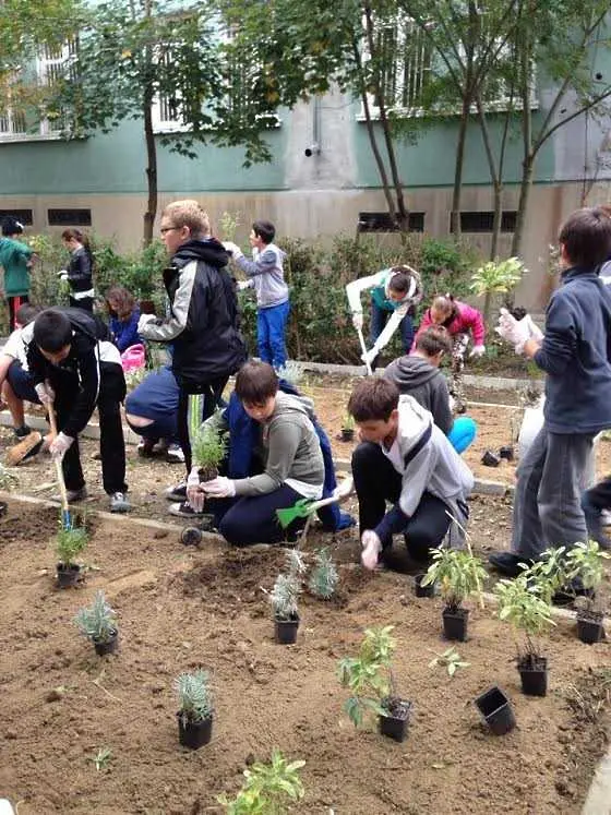 Мобилно здраво приложение дари градина с билки на столично училище