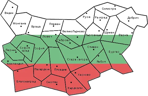 Как гласуваха отделните райони в България?