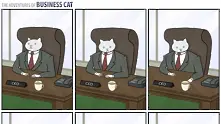 Ако котките бяха бизнесмени (комикс)