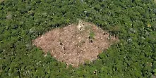Бразилия е намалила с 18% за една година изсичането на амазонските гори 